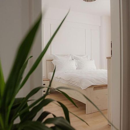 Modern Apartment In Temesvár Kültér fotó