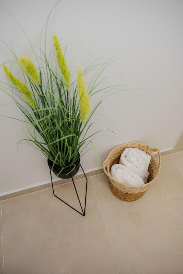 Modern Apartment In Temesvár Kültér fotó