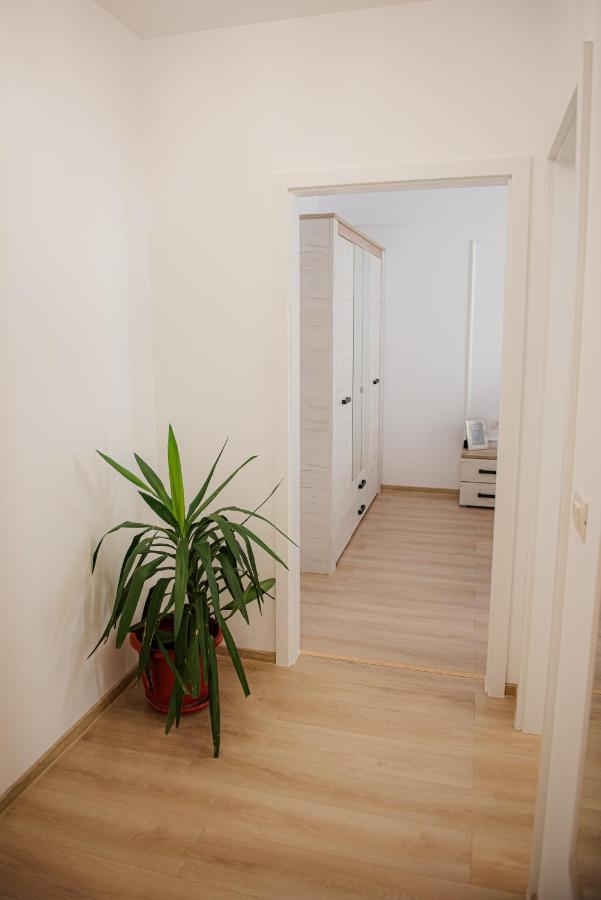 Modern Apartment In Temesvár Kültér fotó